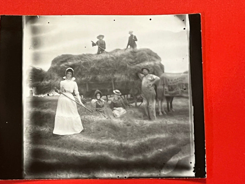 Farming in a full dress - 1898