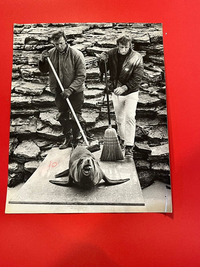 Seals Sweepers - Como Park Zoo - 1974. St. Paul, Minnesota. Seal's name is Sparky